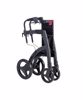 Rollator Rollstuhl Rollz Motion