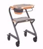 Wohnraumrollator Gold