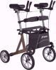 Bild von Arthritis Rollator Tiger AKTION