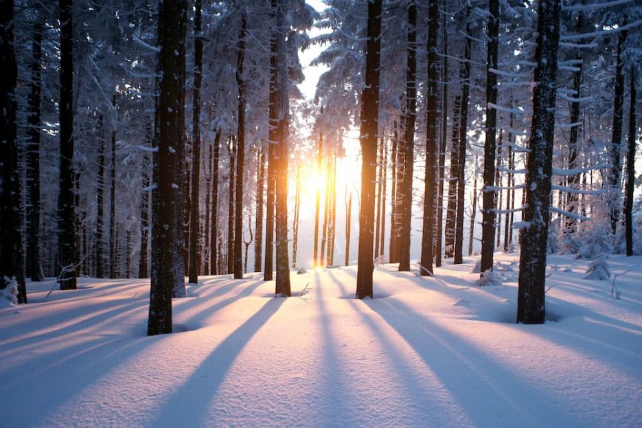Gesund und glücklich durch den Winter – 4 Tipps