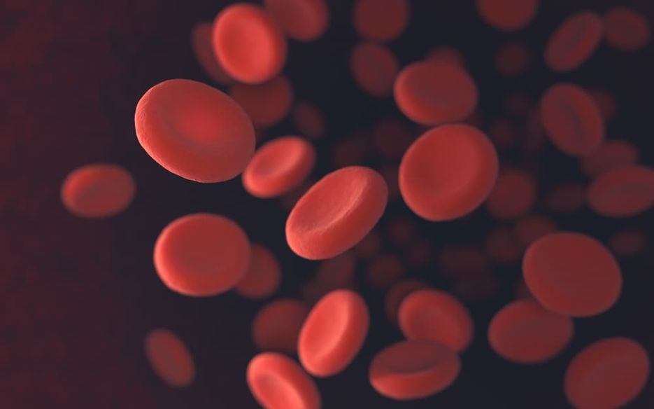 Thrombose – Wenn Bewegung Leben schützt