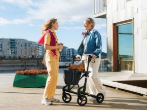 Bild für Kategorie Rollator